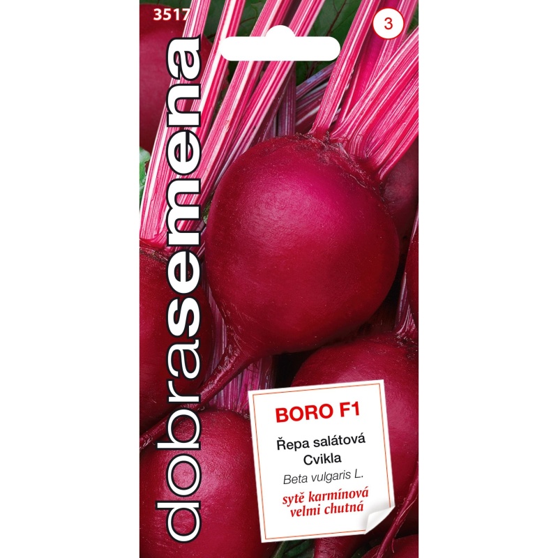 Osivo zeleniny - Řepa salátová BORO F1 (DS)