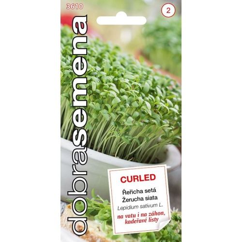 Osivo zeleniny - Řeřicha setá Curled (DS)