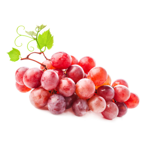 Révy - Réva vinná 'Crimson Seedless' květináč 6 litrů, růžová, BEZSEMENNÁ