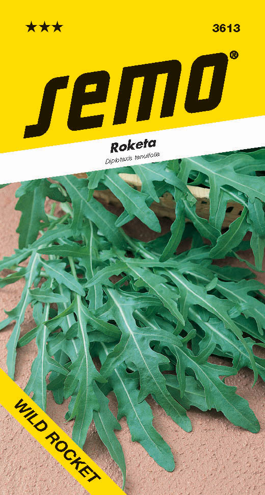 Osivo zeleniny - Roketa setá Wild rocket