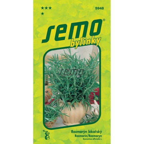 Osivo bylinek - Rozmarýn lékařský