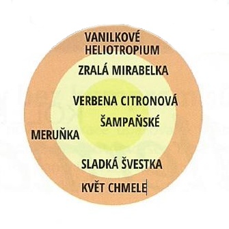 Růže Kordes Parfuma Constanze Mozart květináč 9 litrů-0