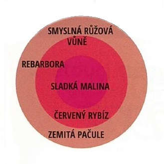 Růže Kordes Parfuma Gartenprizessin Marie-José květináč 2 litry-3