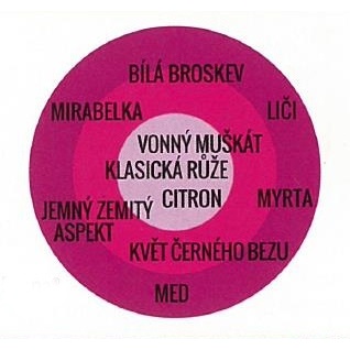 Růže Kordes Parfuma Gräfin Diana květináč 2 litry-3