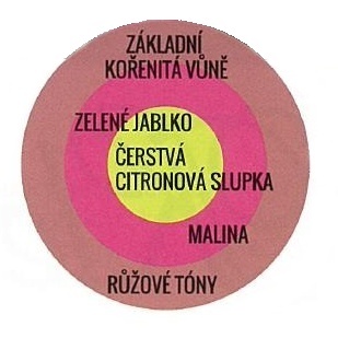 Růže Kordes Parfuma Kiss me Kate květináč 2 litry-3