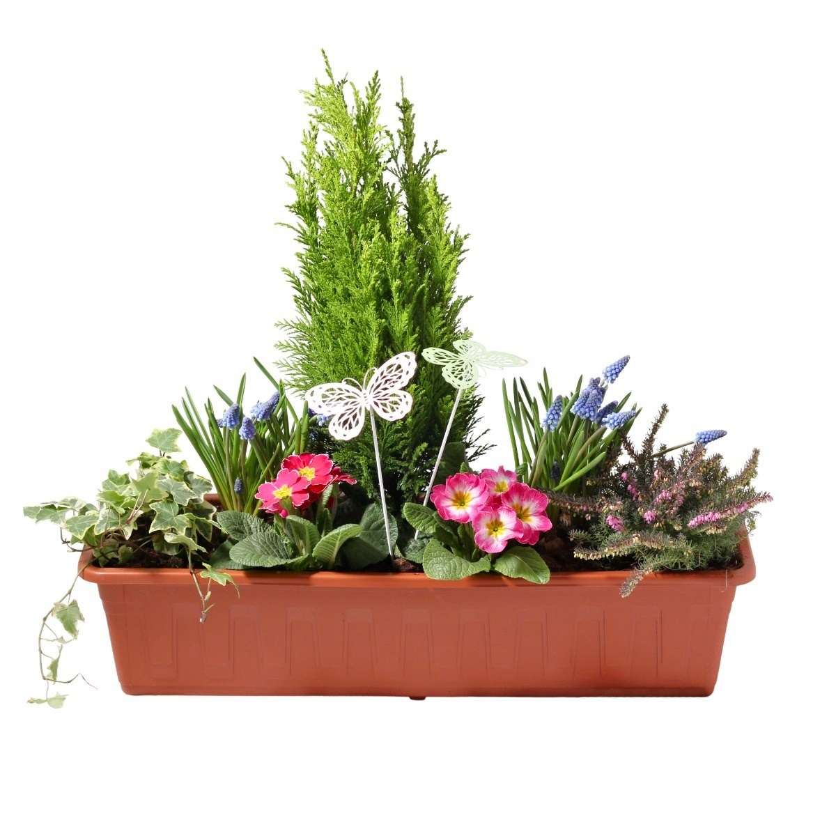 Jarní truhlíky s cibulovinami - Růžové jaro truhlík 60cm