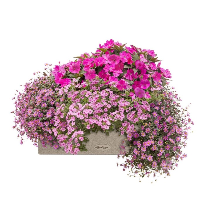 Květinové truhlíky - Růžový panter Lechuza Stone