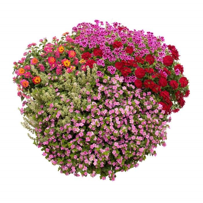 Květinové truhlíky - Růžový vodopád Lechuza Stone