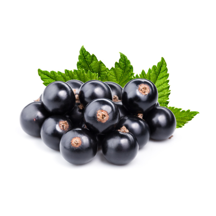 Rybízy - Rybíz černý 'Ben Nevis' květináč 5 litrů