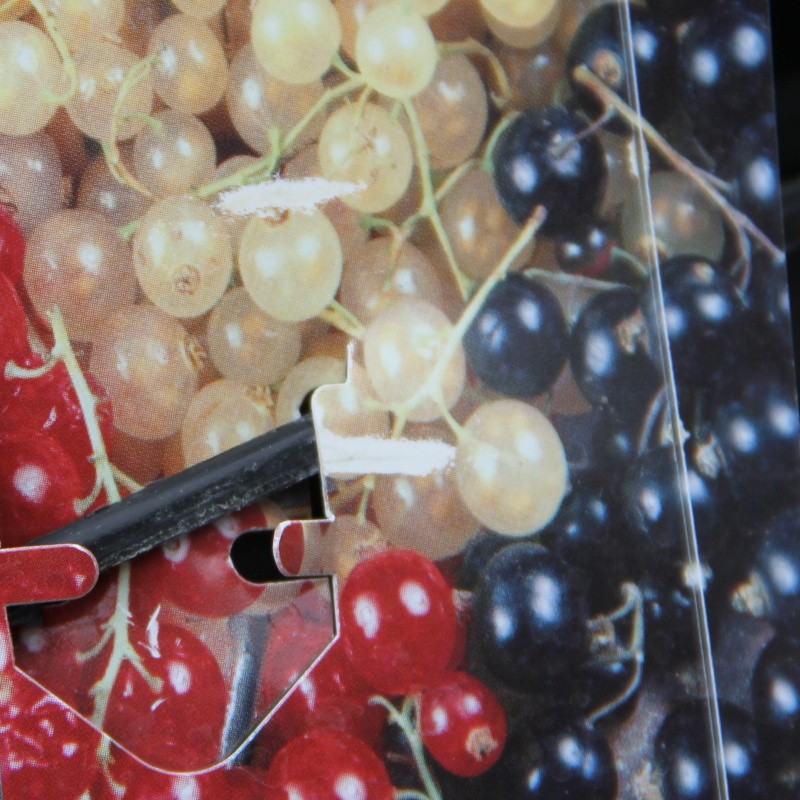 Rybízy - Rybíz Trio květináč 5 litrů, vyvazovaný špalír, bílá, černá, červená