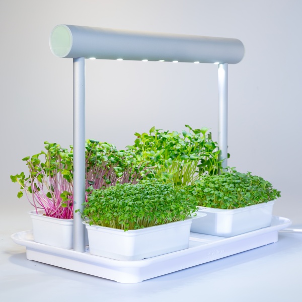 Sada na naklíčení s lampou LEAF LEARN Mini+4ks kapslí 30g-0