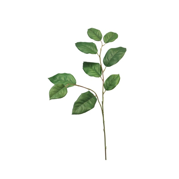 Celoroční umělé květiny - Salal větev umělá zelená 77cm