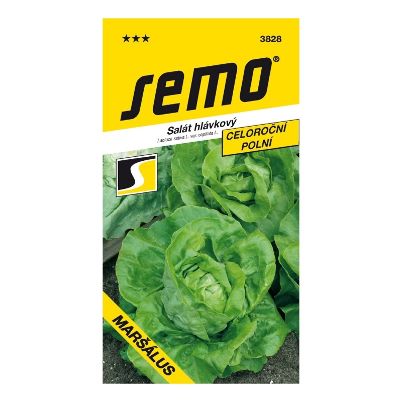 Osivo zeleniny - Salát celoroční Maršálus PROFI polní