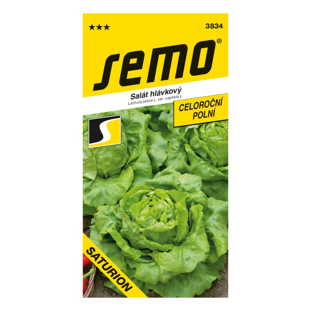 Osivo zeleniny - Salát celoroční Saturn polní