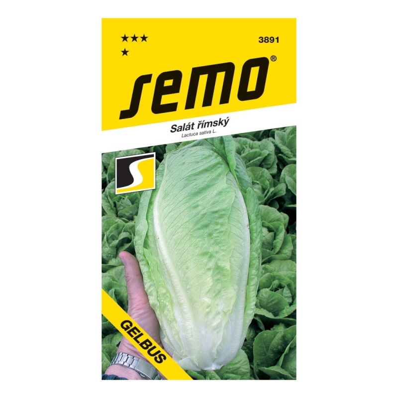 Osivo zeleniny - Salát GELBUS římský polní