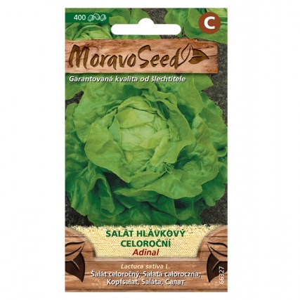 Osivo zeleniny - Salát hlávkový ADINAL celoroční (MS)