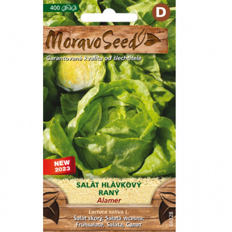 Osivo zeleniny - Salát hlávkový ALAMER raný (MS)