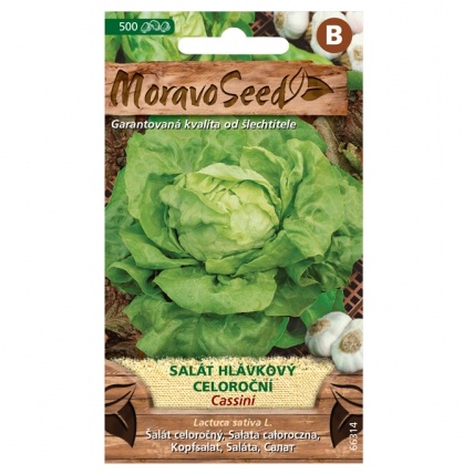 Osivo zeleniny - Salát hlávkový CASSINI celoroční (MS)