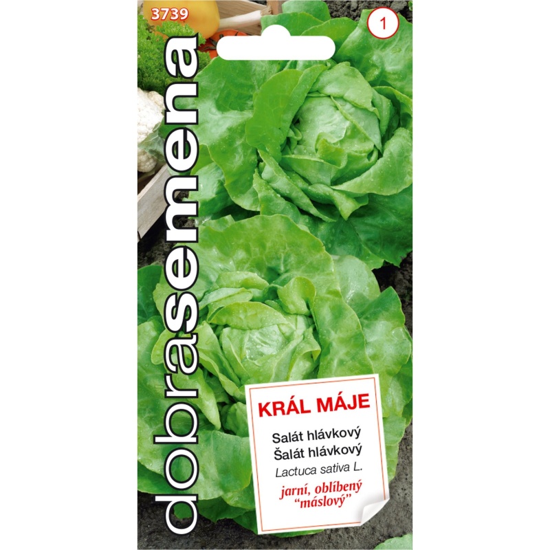 Osivo zeleniny - Salát hlávkový KRÁL MÁJE (DS)