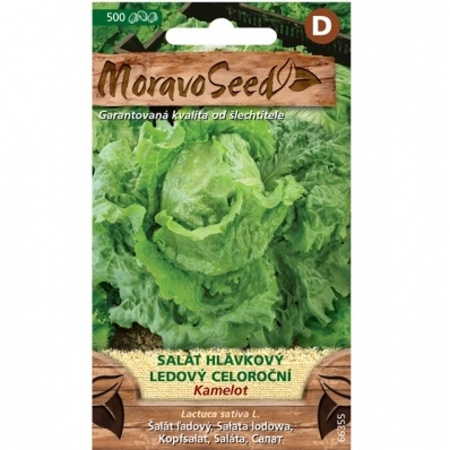 Osivo zeleniny - Salát hlávkový ledový pozdní KAMELOT celoroční (MS)