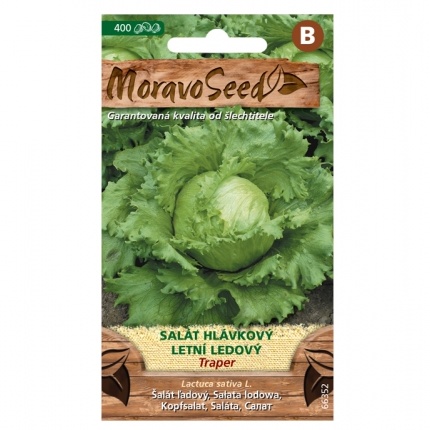 Osivo zeleniny - Salát hlávkový ledový TRAPER celoroční (MS)