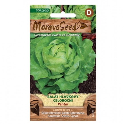 Osivo zeleniny - Salát hlávkový PANTER celoroční (MS)