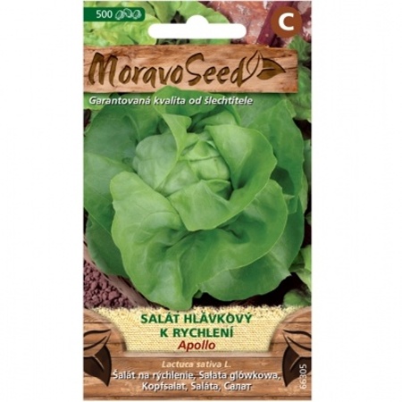 Osivo zeleniny - Salát hlávkový raný APOLLO rychlení (MS)
