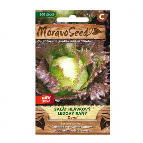 Osivo zeleniny - Salát hlávkový raný ledový DEREL (MS)