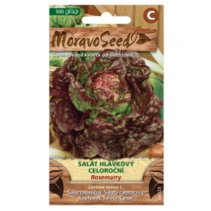 Osivo zeleniny - Salát hlávkový ROSEMARRY červený celoroční (MS)