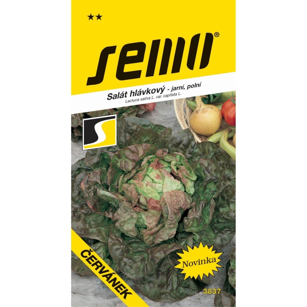 Osivo zeleniny - Salát jarní Červánek polní