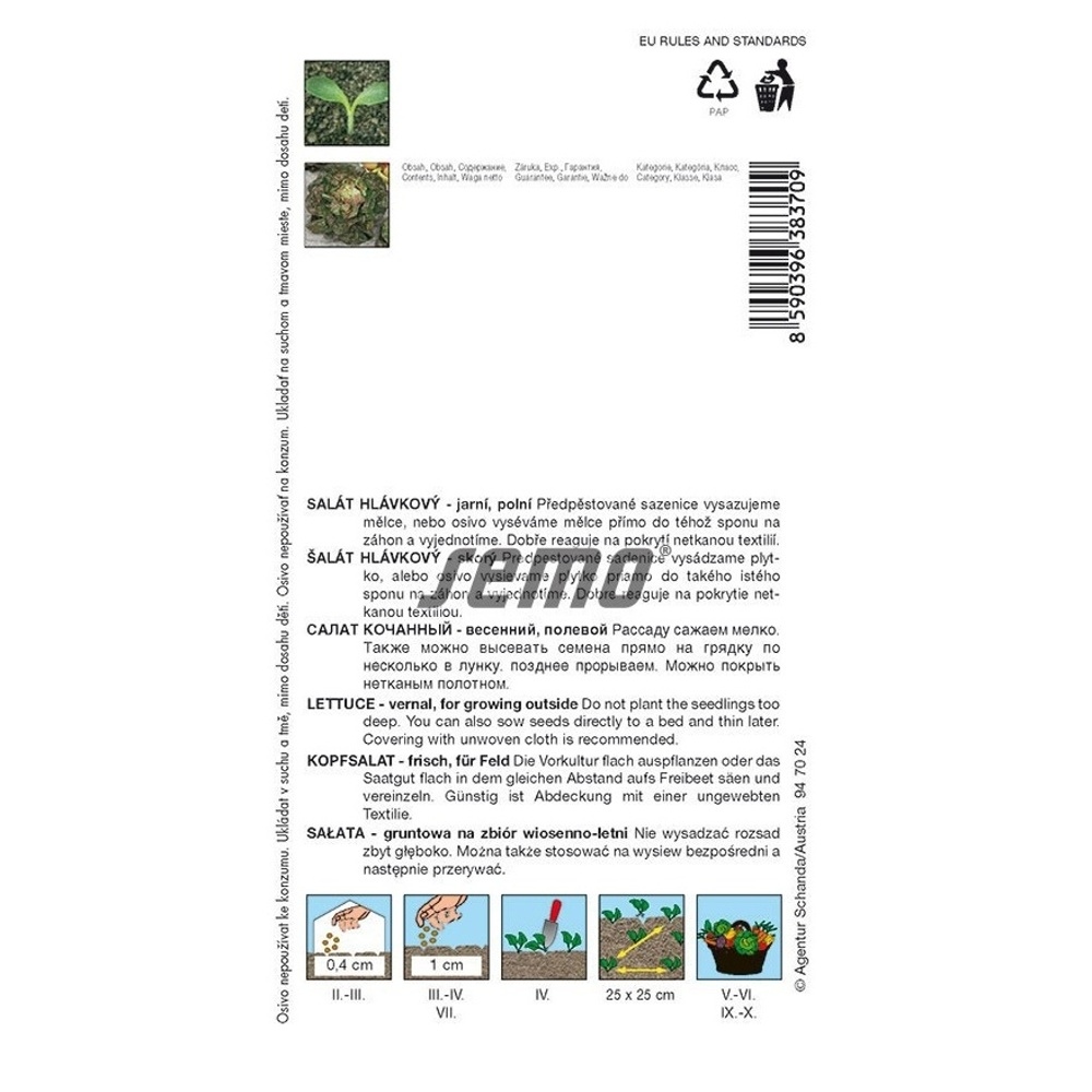 Salát jarní Červánek polní-0