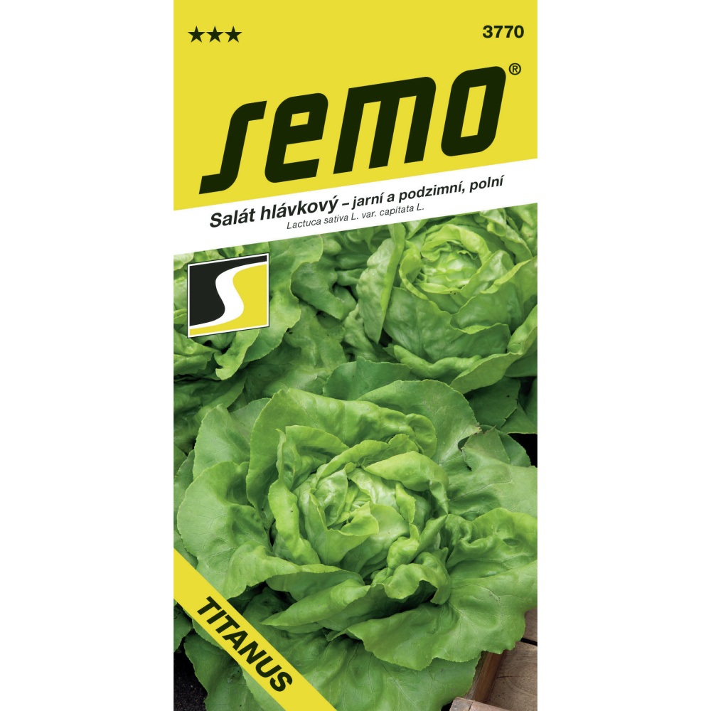 Osivo zeleniny - Salát jarní/letní/podzimní Titanus polní