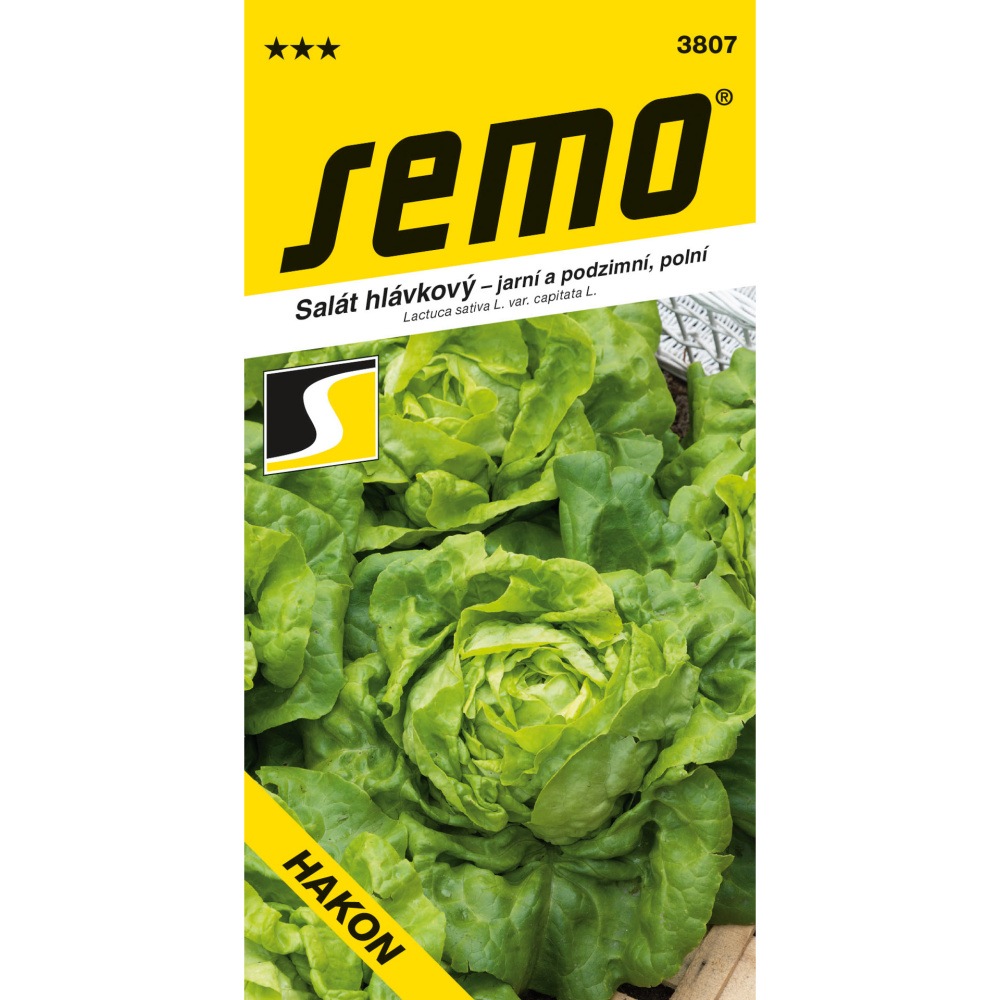 Osivo zeleniny - Salát jarní/pozdní Hakon PROFI polní