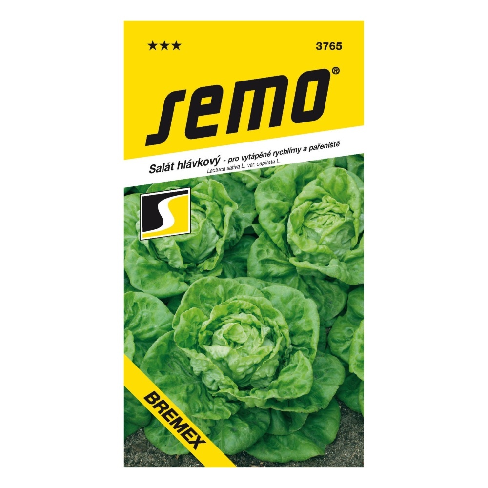 Osivo zeleniny - Salát k rychlení Bremex
