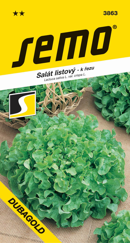 Osivo zeleniny - Salát kadeřavý k řezu Dubagold