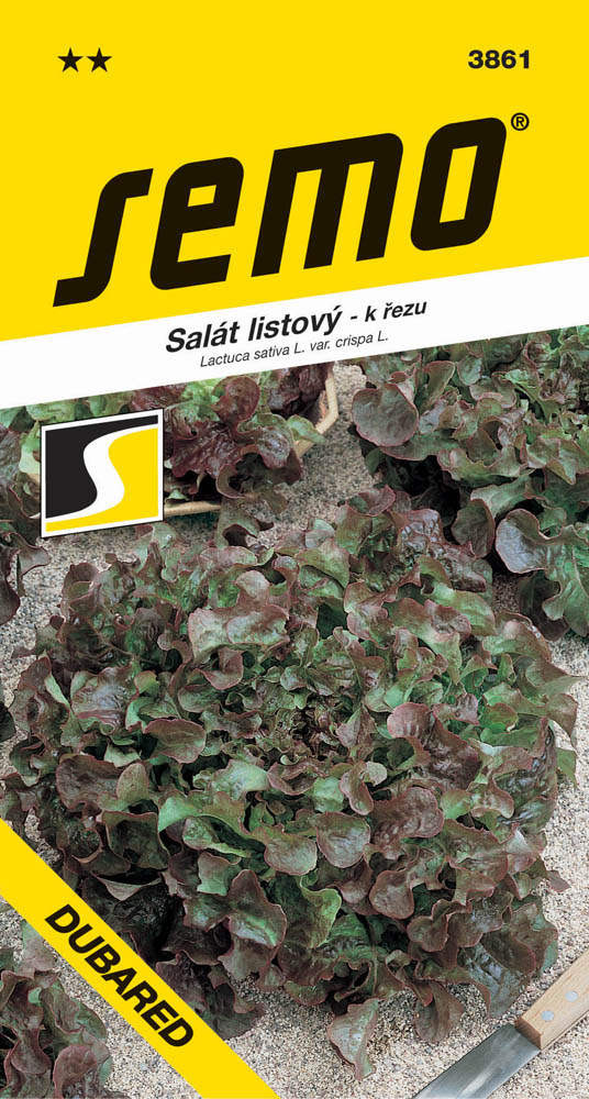 Osivo zeleniny - Salát kadeřavý k řezu Dubared Red Bowl