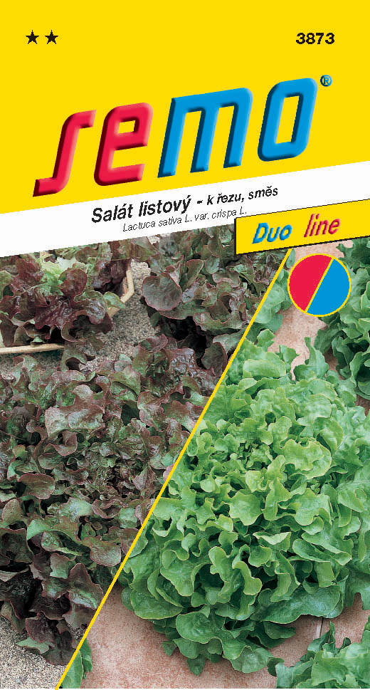 Osivo zeleniny - Salát kadeřavý k řezu směs Bowl DUO