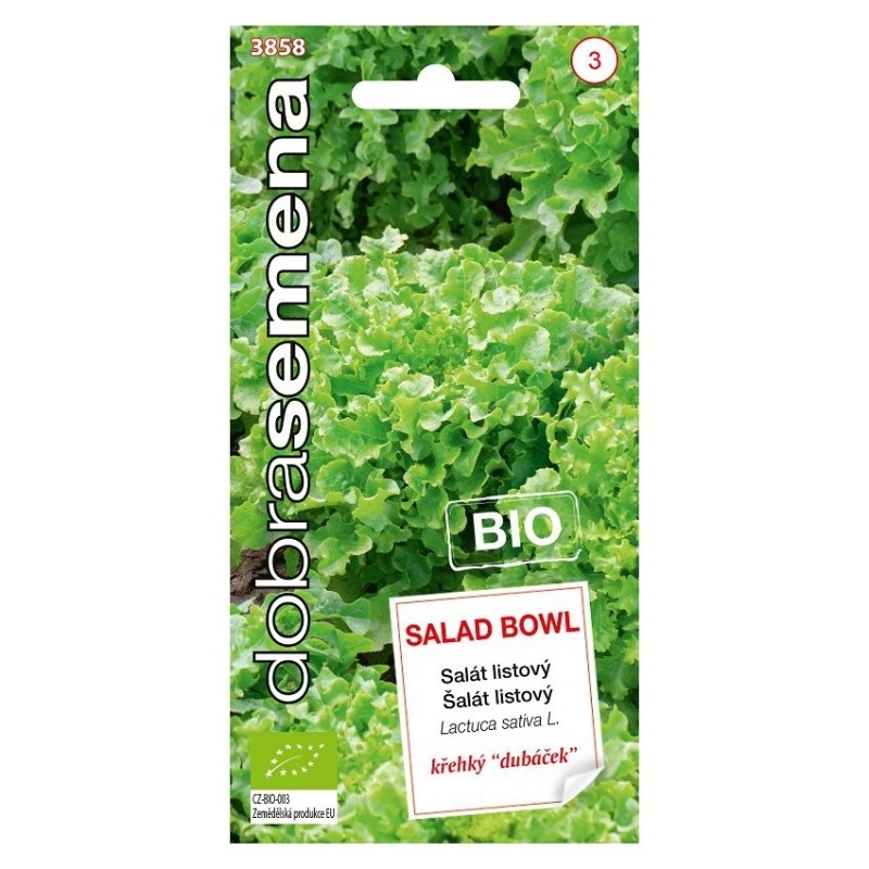 Osivo zeleniny - Salát křehký dubáček Slad Bowl BIO (DS)