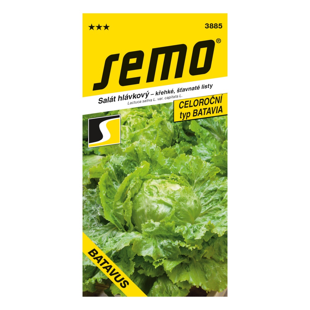 Osivo zeleniny - Salát ledový Batavus PROFI polní