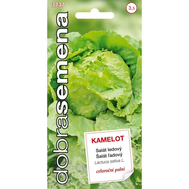 Osivo zeleniny - Salát ledový KAMELOT (DS)