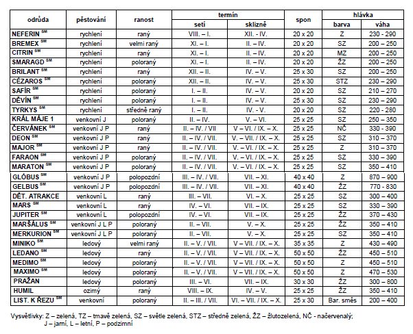 Salát ledový  Ledano žlutý polní-0