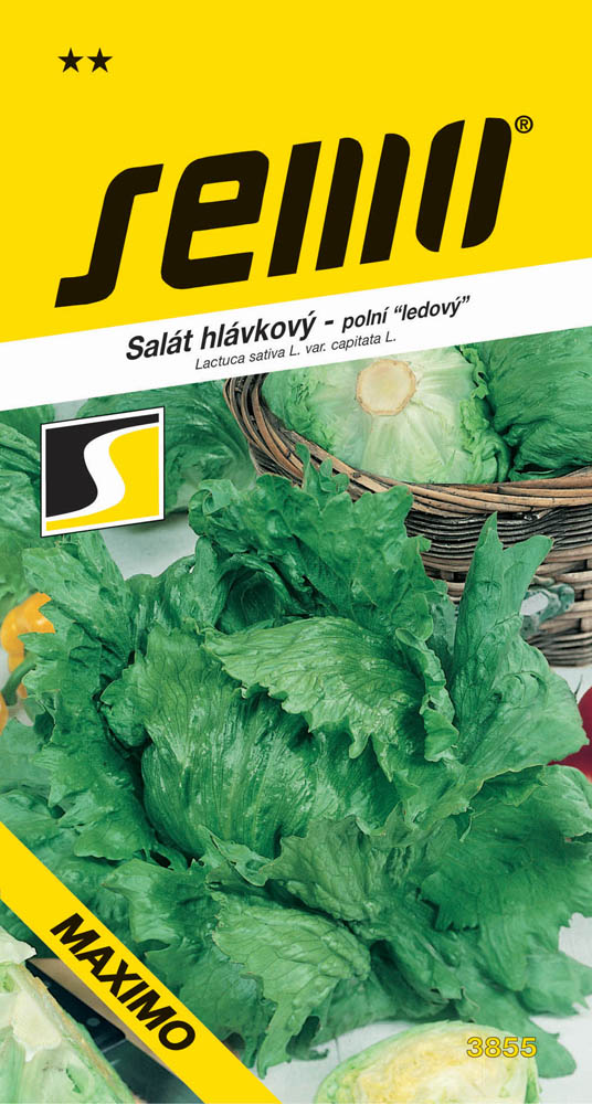 Osivo zeleniny - Salát ledový Maximo polní velký