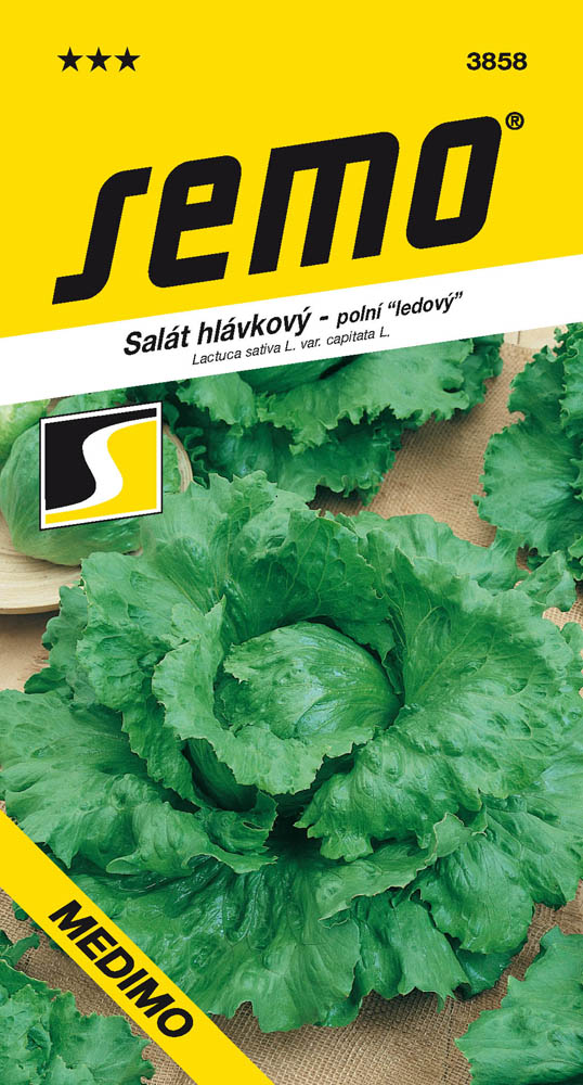Osivo zeleniny - Salát ledový Medimo PROFI polní