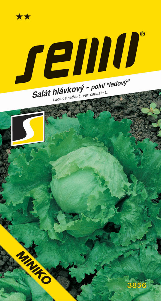 Osivo zeleniny - Salát ledový Miniko polní menší