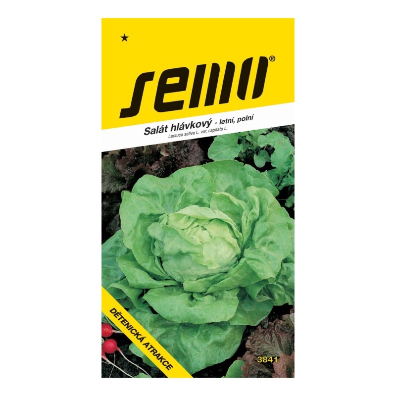 Osivo zeleniny - Salát letní Dětenická atrakce polní