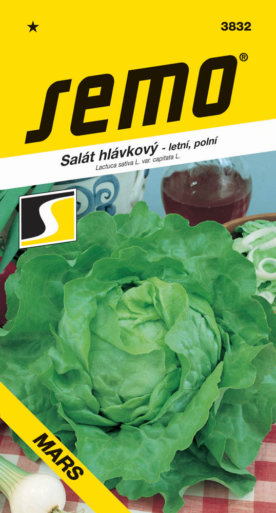 Osivo zeleniny - Salát letní Mars PROFI polní
