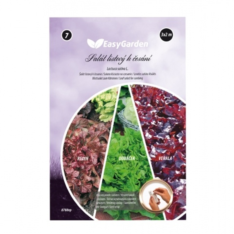 Výsevní pásky - Salát listový k česání výsevní pásek