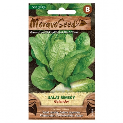 Osivo zeleniny - Salát římský GALANDER (MS)