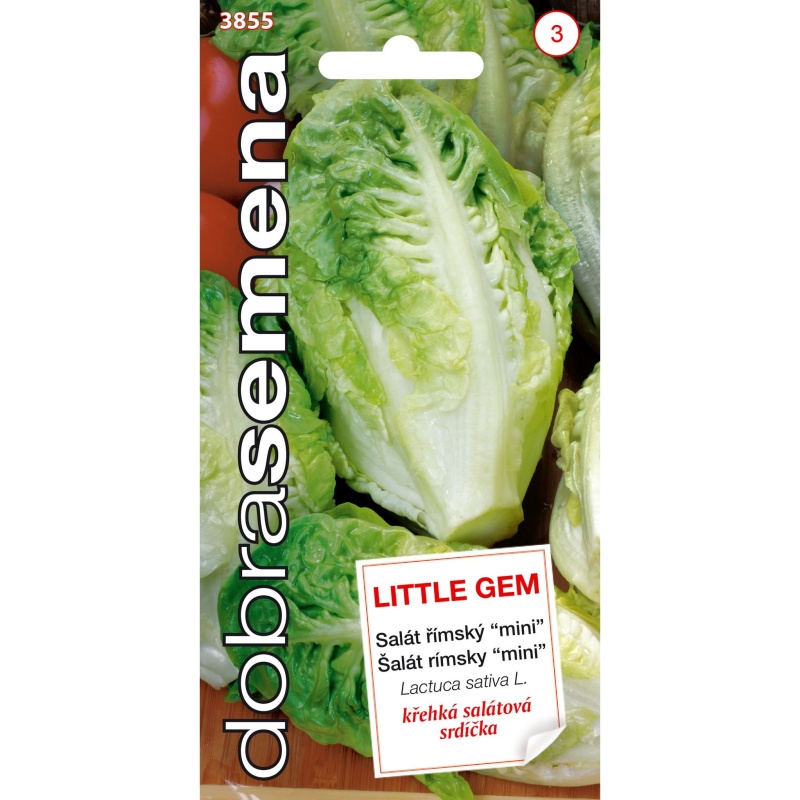 Osivo zeleniny - Salát římský LITTLE GEM (DS)