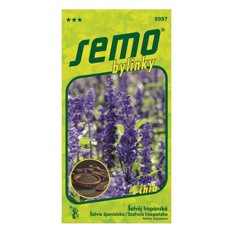 Osivo bylinek - Šalvěj hispánská (chia)